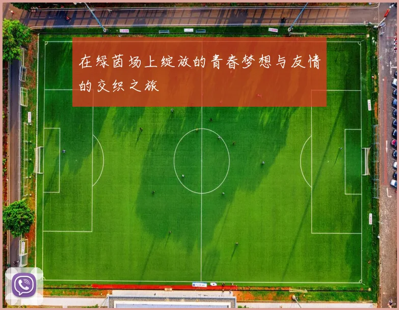 在绿茵场上绽放的青春梦想与友情的交织之旅