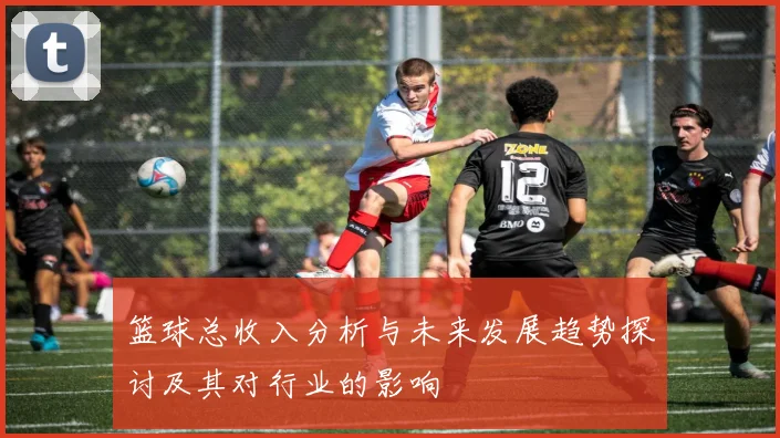 篮球总收入分析与未来发展趋势探讨及其对行业的影响