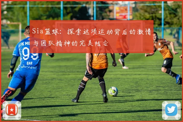 Sia篮球：探索这项运动背后的激情与团队精神的完美结合