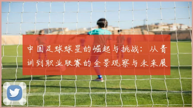 中国足球球星的崛起与挑战：从青训到职业联赛的全景观察与未来展望